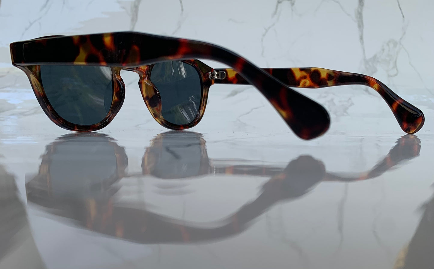 Turtle Noir